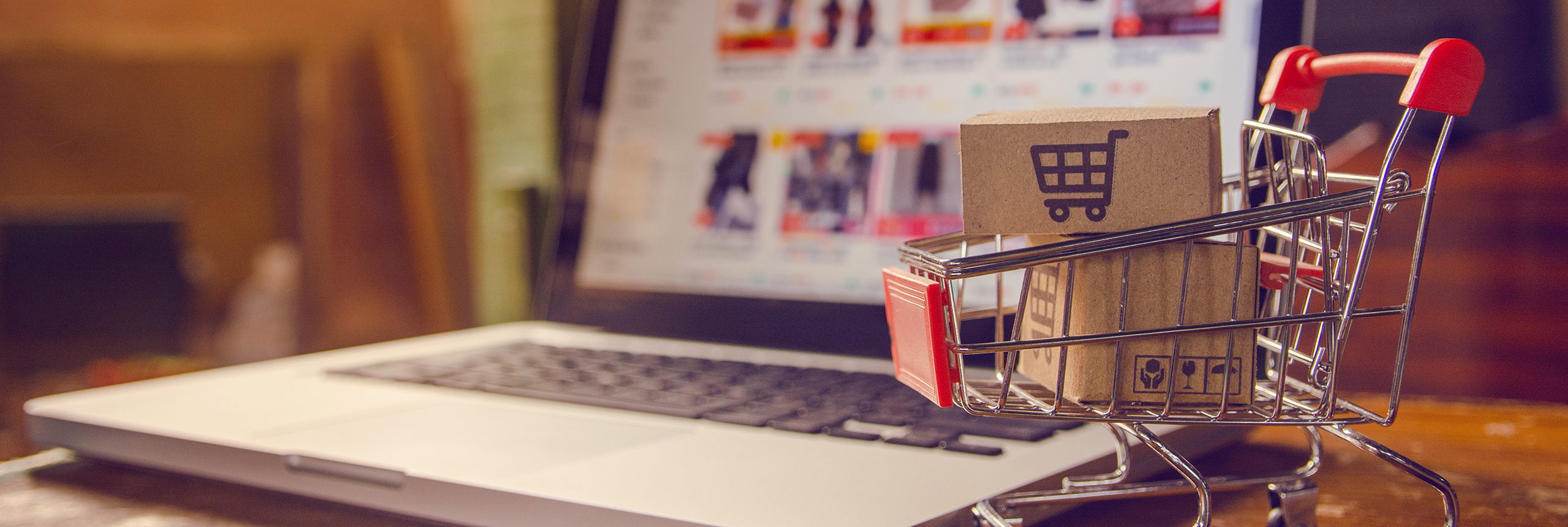eCommerce 101: An Evolution of Economics